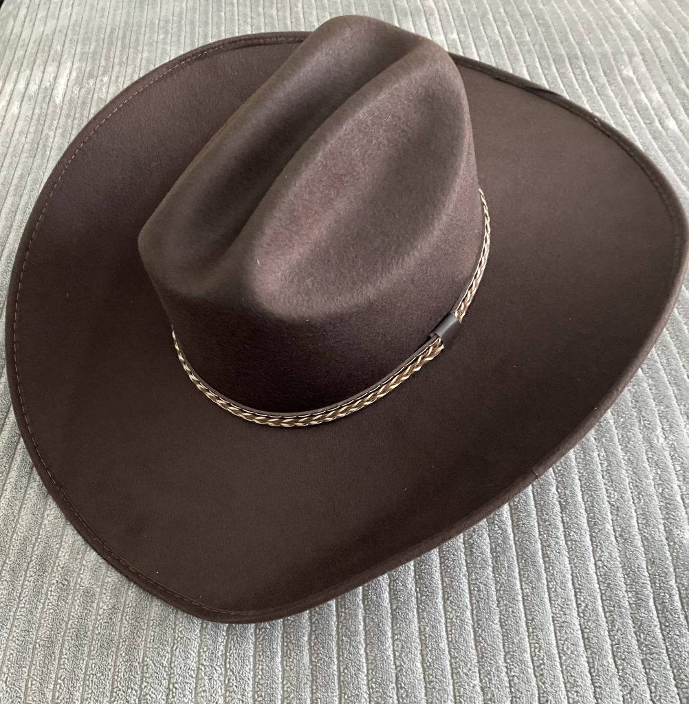 Cowboy hat brown suede